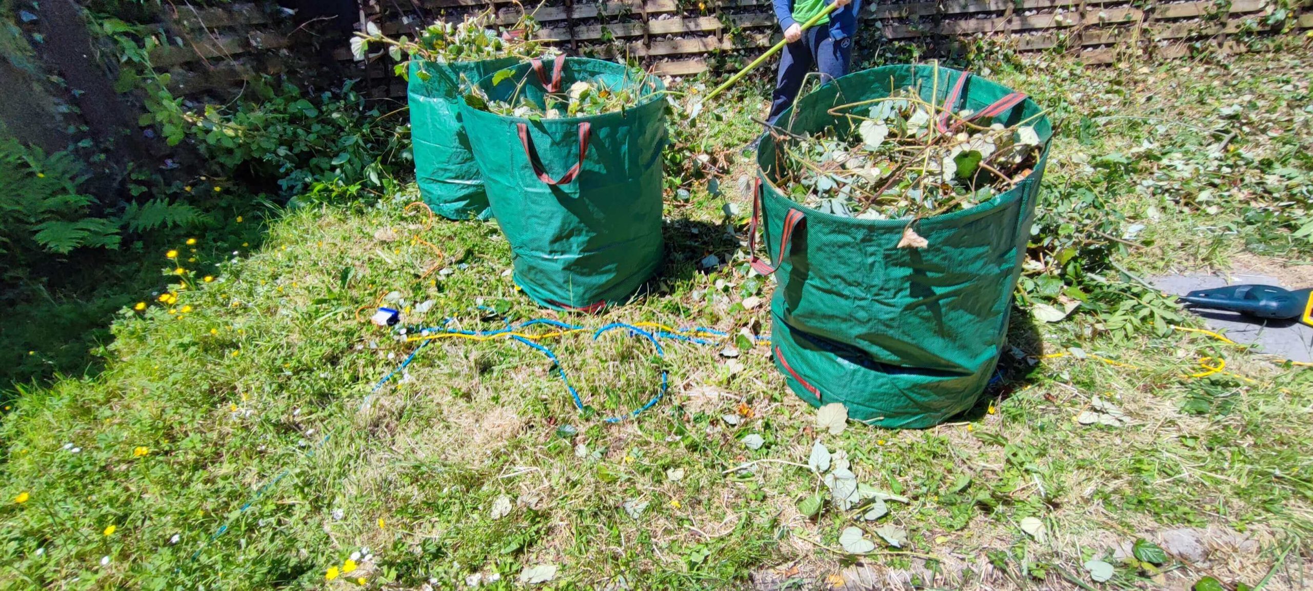 Green Waste Removals Swanley BR8