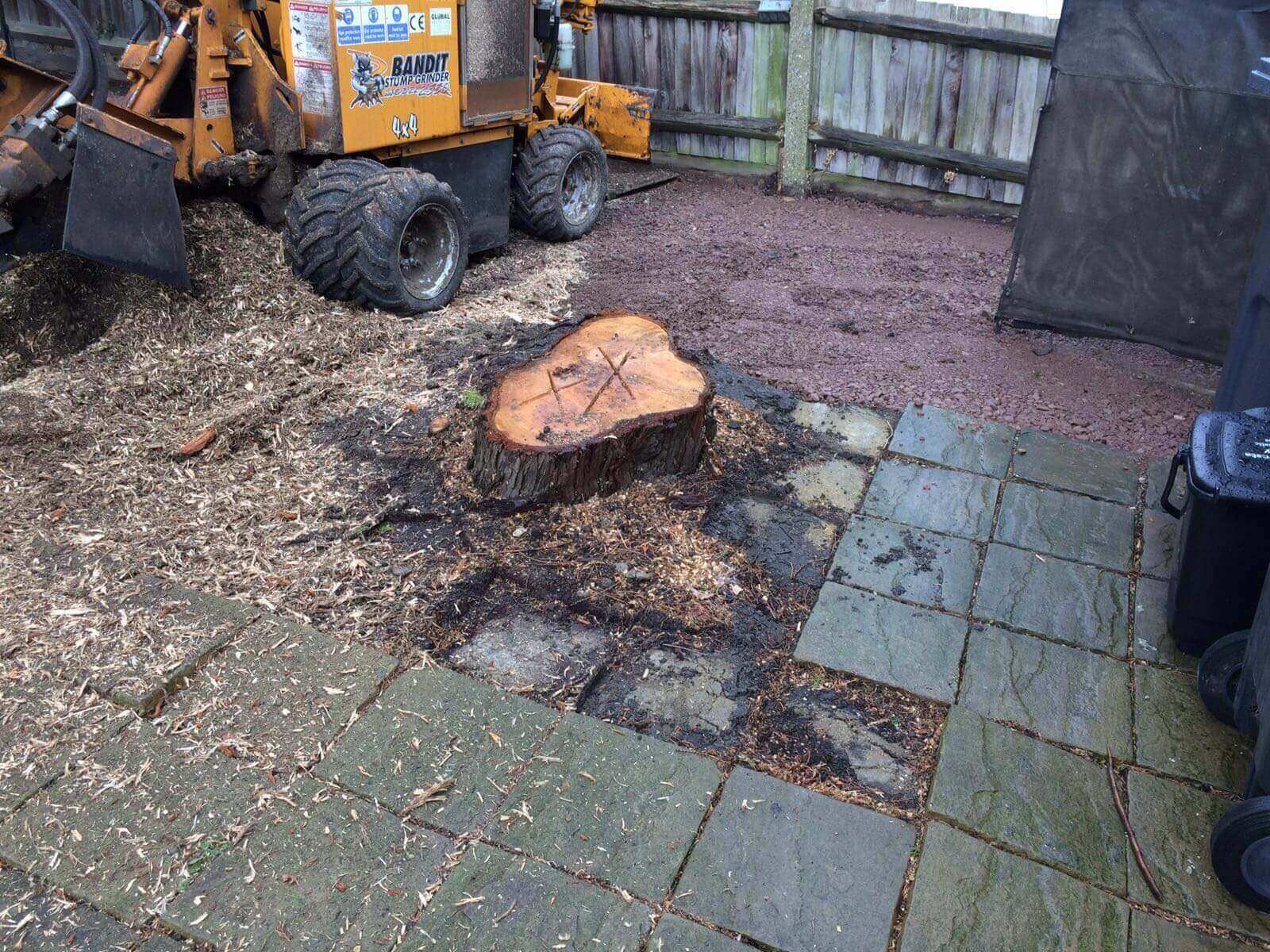 Tree Surgeons Swanley BR8