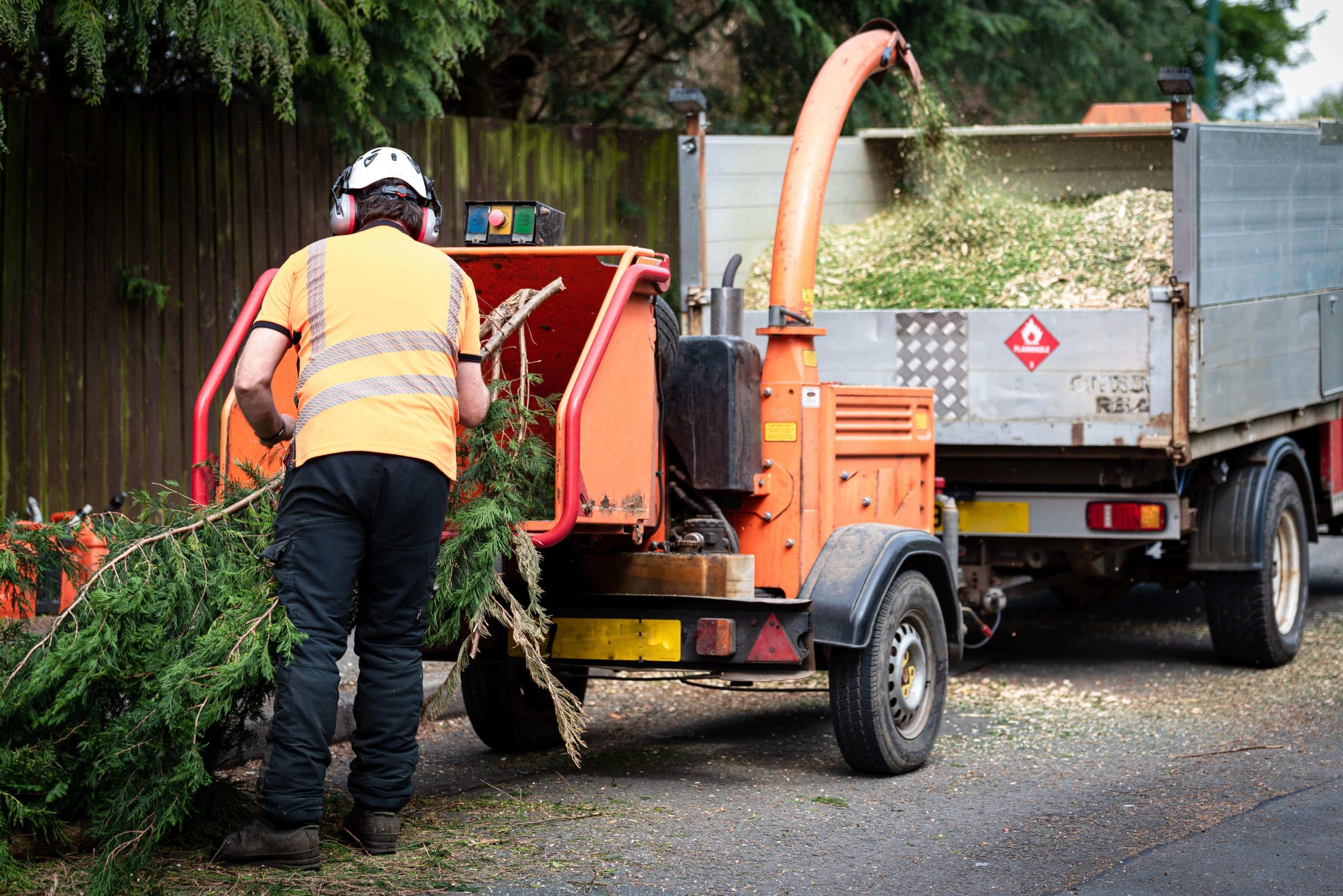 Tree Stump Grinding/Removal Swanley BR8